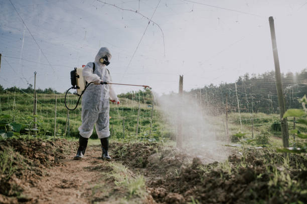 Pest Control for Restaurants in Peaceful Valley, WA