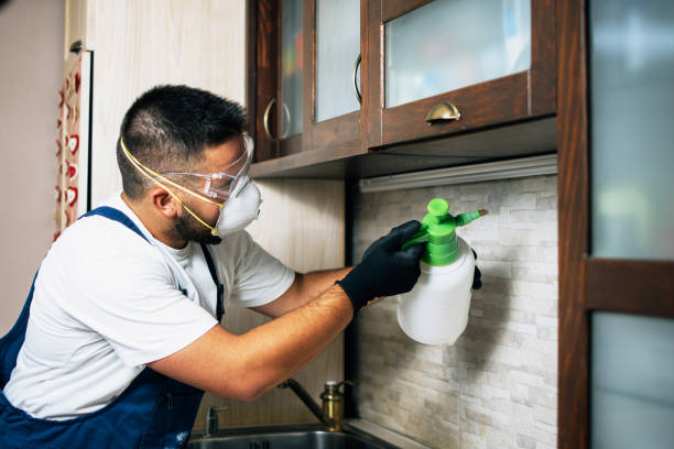  Peaceful Valley, WA Pest Control Pros