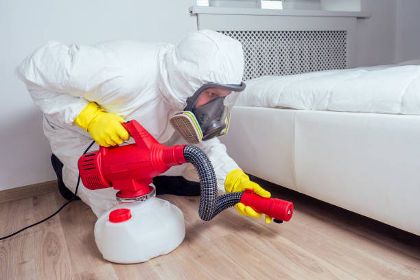 Best Affordable Pest Control Services  in Peaceful Valley, WA